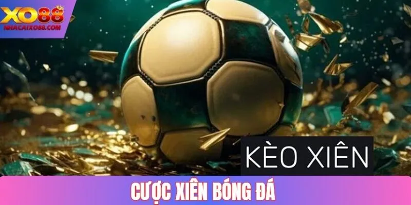 Cược Xì Nên Bóng Đá   Chỉ Dẫn Cách Tính Xấu Chuẩn Nhất 2025